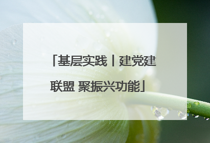 基层实践丨建党建联盟 聚振兴功能