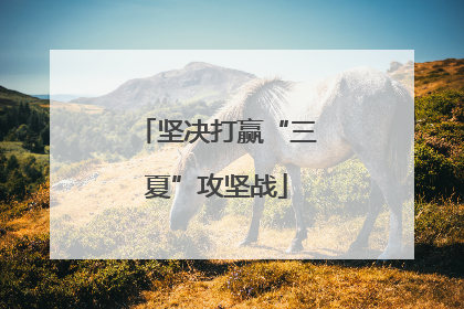坚决打赢“三夏”攻坚战