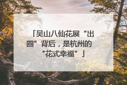 吴山八仙花展“出圈”背后，是杭州的“花式幸福”