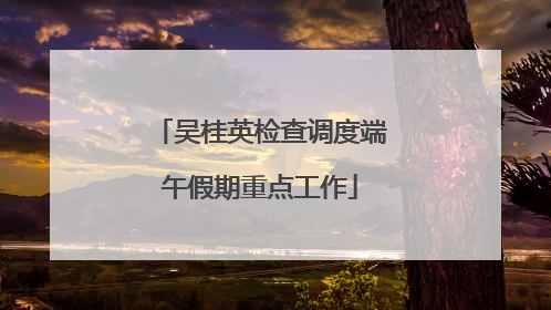 吴桂英检查调度端午假期重点工作