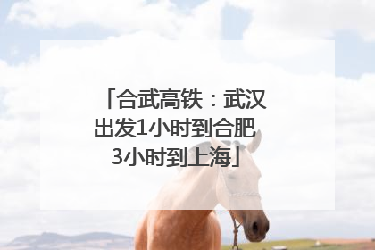 合武高铁：武汉出发1小时到合肥3小时到上海