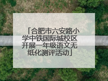 合肥市六安路小学中铁国际城校区开展一年级语文无纸化测评活动