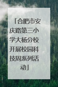 合肥市安庆路第三小学大杨分校开展校园科技周系列活动