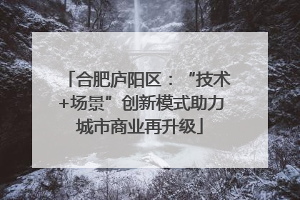 合肥庐阳区：“技术+场景”创新模式助力城市商业再升级