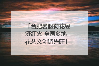 合肥暑假荷花经济红火 全国多地花艺文创销售旺
