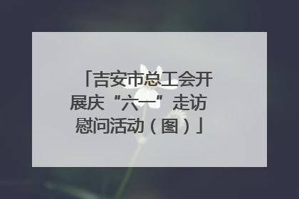 吉安市总工会开展庆“六一”走访慰问活动（图）