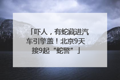 吓人，有蛇藏进汽车引擎盖！北京9天接9起“蛇警”