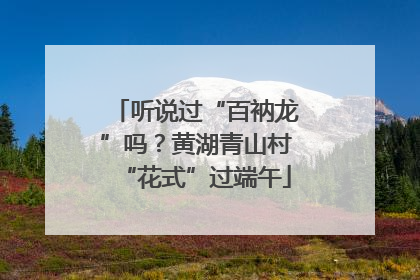 听说过“百衲龙”吗？黄湖青山村“花式”过端午
