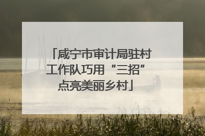 咸宁市审计局驻村工作队巧用“三招”点亮美丽乡村