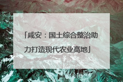 咸安：国土综合整治助力打造现代农业高地