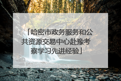 哈密市政务服务和公共资源交易中心赴豫考察学习先进经验
