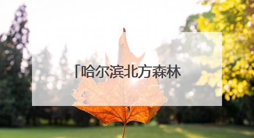 哈尔滨北方森林动物园“私人定制”粽子迎端午
