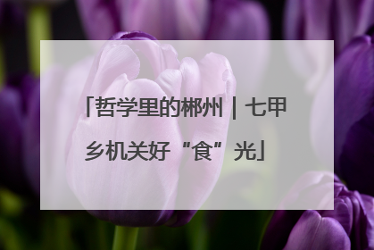 哲学里的郴州｜七甲乡机关好“食”光