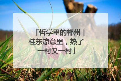 哲学里的郴州｜桂东凉意里，热了一村又一村
