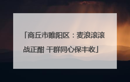 商丘市睢阳区：麦浪滚滚战正酣 干群同心保丰收