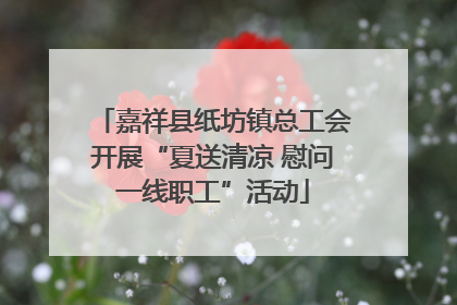 嘉祥县纸坊镇总工会开展“夏送清凉 慰问一线职工”活动