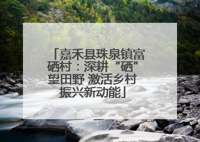嘉禾县珠泉镇富硒村：深耕“硒”望田野 激活乡村振兴新动能