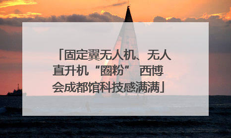 固定翼无人机、无人直升机“圈粉” 西博会成都馆科技感满满