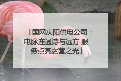 国网庆阳供电公司：电脉连通诗与远方 服务点亮露营之光