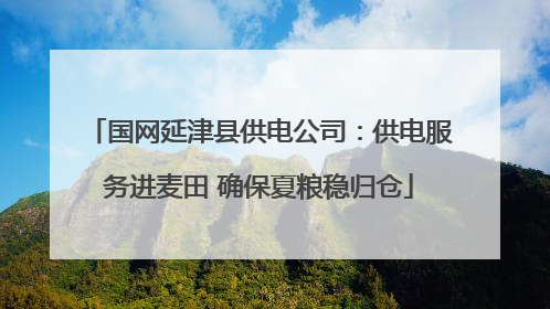 国网延津县供电公司：供电服务进麦田 确保夏粮稳归仓