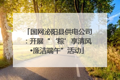 国网泌阳县供电公司：开展“‘粽’享清风 •廉洁端午”活动