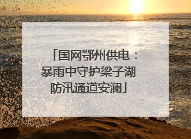 国网鄂州供电：暴雨中守护梁子湖防汛通道安澜