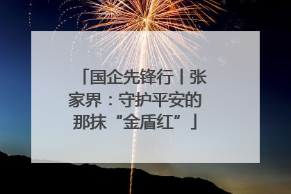 国企先锋行丨张家界：守护平安的那抹“金盾红”