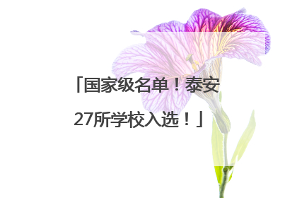国家级名单！泰安27所学校入选！