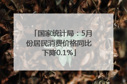 国家统计局：5月份居民消费价格同比下降0.1%
