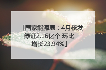 国家能源局：4月核发绿证2.16亿个 环比增长23.94%