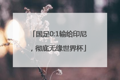 国足0:1输给印尼，彻底无缘世界杯