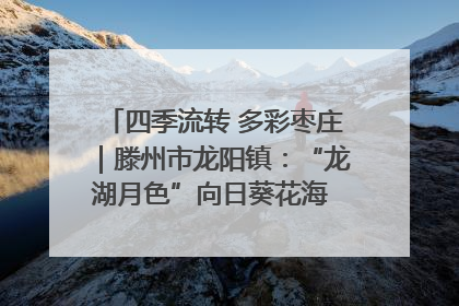 四季流转 多彩枣庄｜滕州市龙阳镇：“龙湖月色”向日葵花海 绘就乡村振兴新画卷