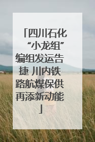 四川石化“小龙组”编组发运告捷 川内铁路航煤保供再添新动能