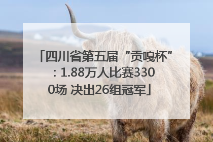 四川省第五届“贡嘎杯”：1.88万人比赛3300场 决出26组冠军