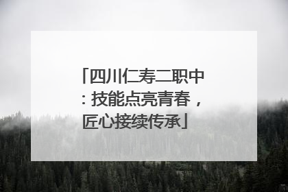 四川仁寿二职中：技能点亮青春，匠心接续传承