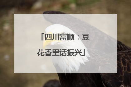 四川富顺：豆花香里话振兴