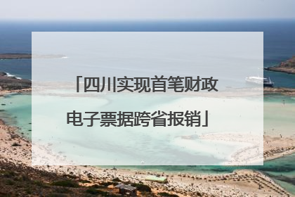 四川实现首笔财政电子票据跨省报销