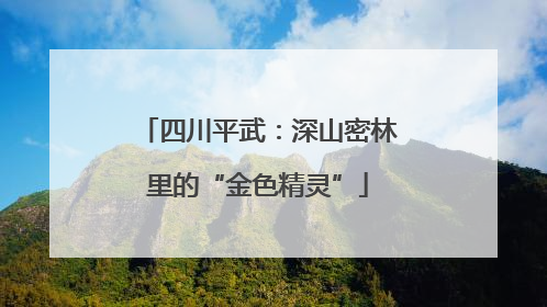四川平武：深山密林里的“金色精灵”