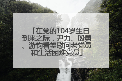 在党的104岁生日到来之际，尹力、殷勇、游钧看望慰问老党员和生活困难党员