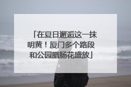 在夏日邂逅这一抹明黄！厦门多个路段和公园腊肠花盛放