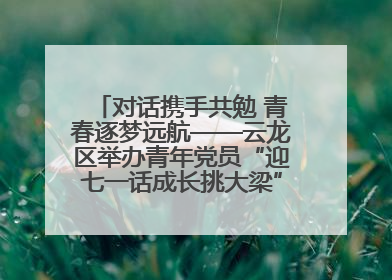 对话携手共勉 青春逐梦远航——云龙区举办青年党员“迎七一话成长挑大梁”交流活动