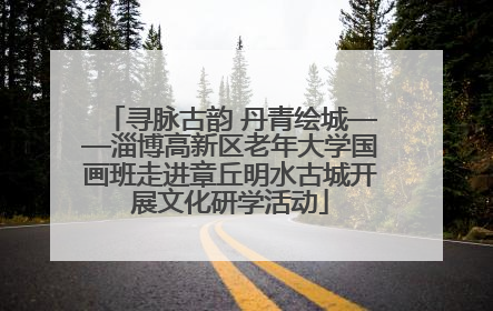 寻脉古韵 丹青绘城——淄博高新区老年大学国画班走进章丘明水古城开展文化研学活动