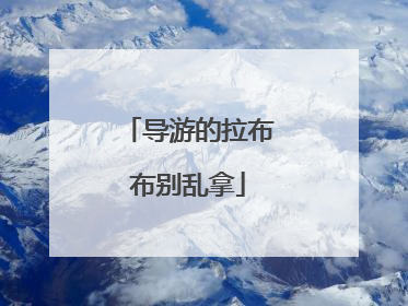 导游的拉布布别乱拿