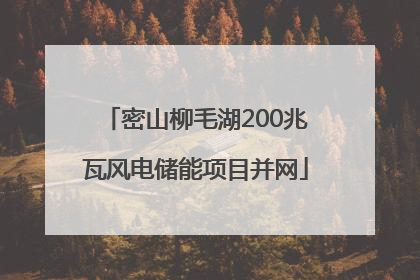 密山柳毛湖200兆瓦风电储能项目并网