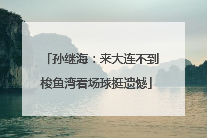 孙继海：来大连不到梭鱼湾看场球挺遗憾