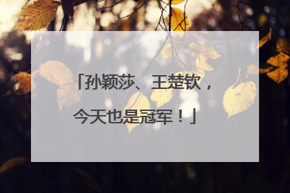 孙颖莎、王楚钦，今天也是冠军！