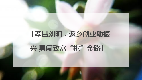 孝昌刘明：返乡创业助振兴 勇闯致富“桃”金路