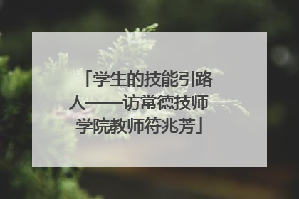 学生的技能引路人——访常德技师学院教师符兆芳