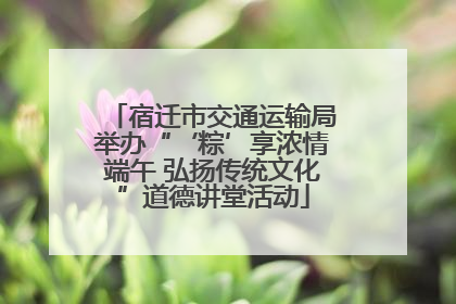 宿迁市交通运输局举办“‘粽’享浓情端午 弘扬传统文化”道德讲堂活动