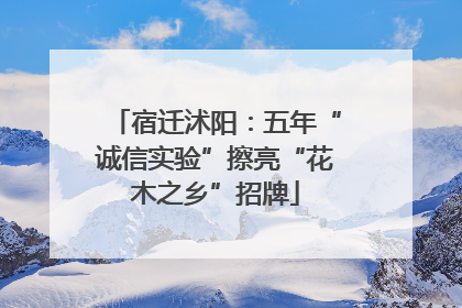 宿迁沭阳：五年“诚信实验”擦亮“花木之乡”招牌